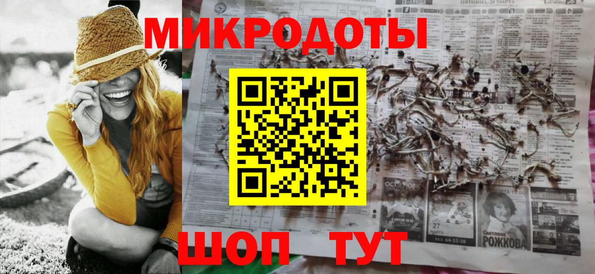 Галлюциногенные грибы Psilocybe  купить наркотик  Курчатов  Псилоцибиновые грибы Psilocybe  Вход с VPN 
